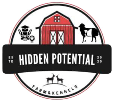 Kim Mayhew - Hidden Potential