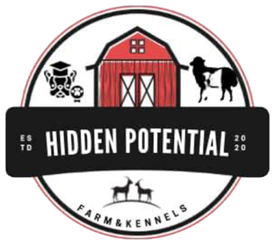 Kim Mayhew - Hidden Potential